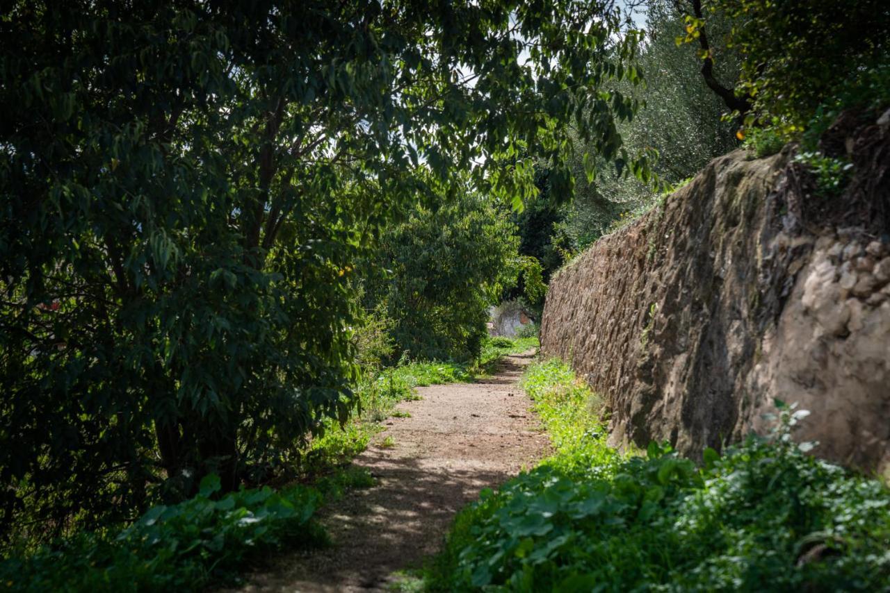 7 Pisos Casa Rural De Pueblo Cocentaina Exterior foto